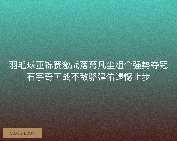 羽毛球亚锦赛激战落幕凡尘组合强势夺冠石宇奇苦战不敌骆建佑遗憾止步